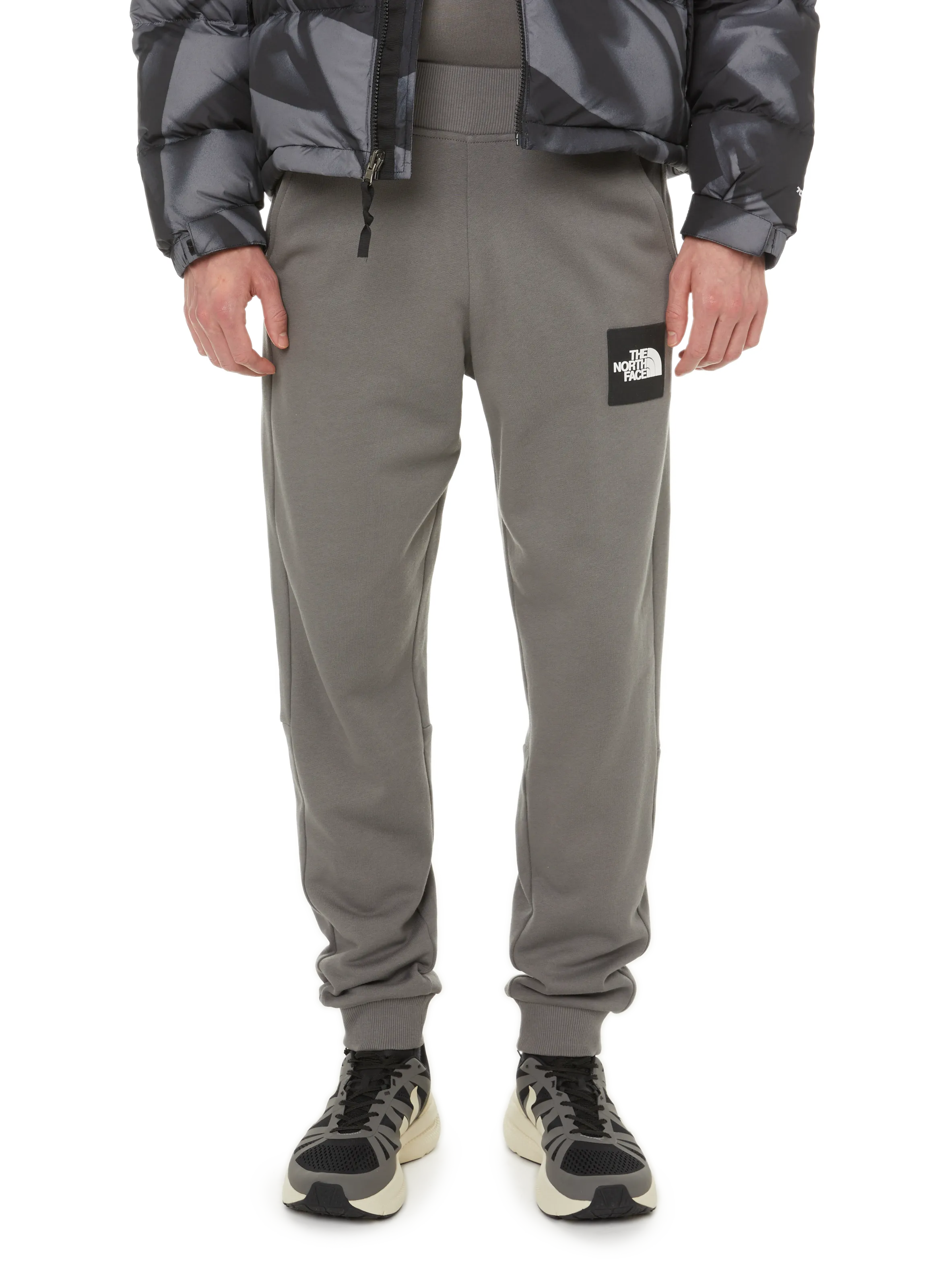 The north face  Fine Alpine joggers - Grey