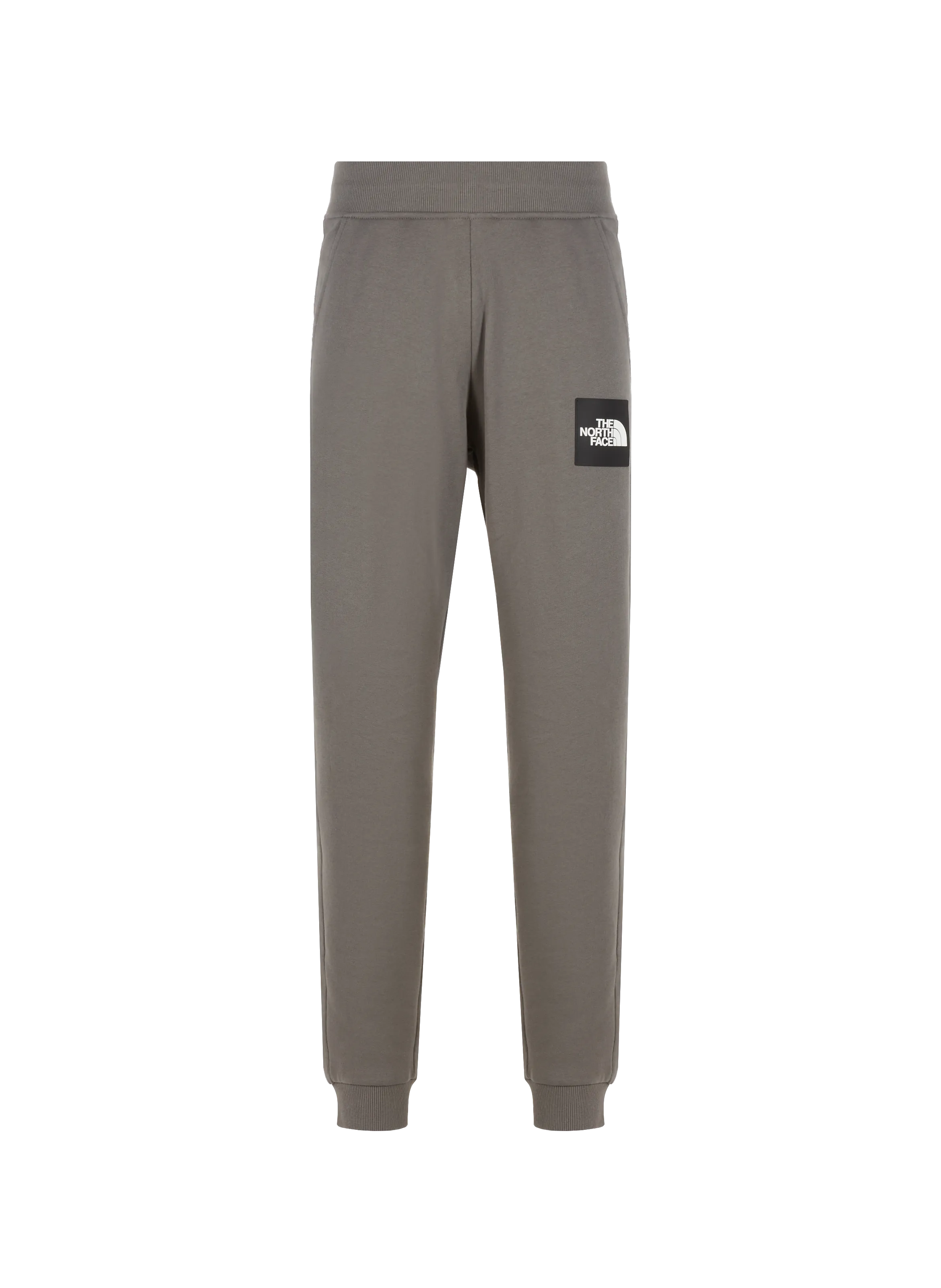 The north face  Fine Alpine joggers - Grey