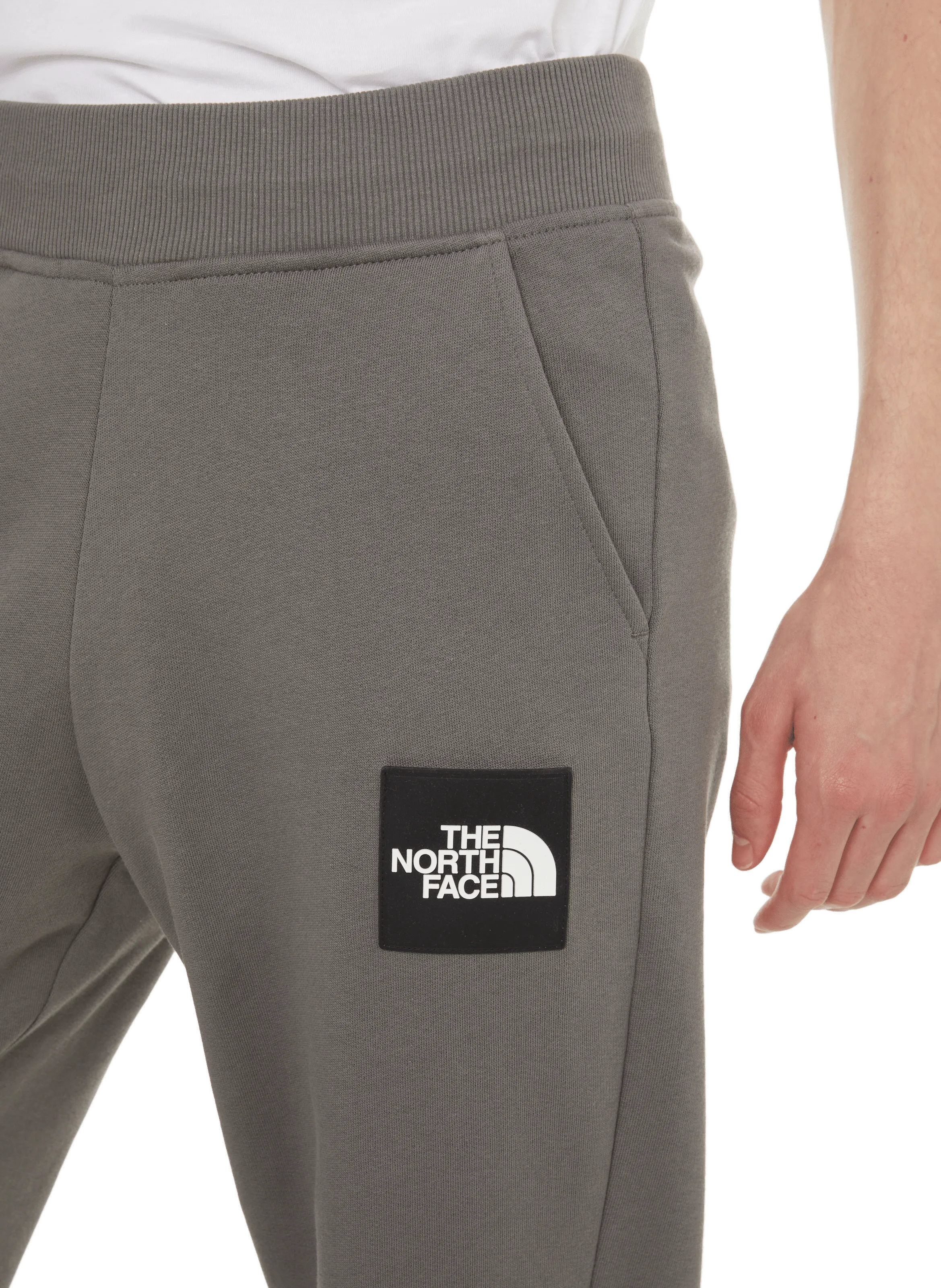 The north face  Fine Alpine joggers - Grey