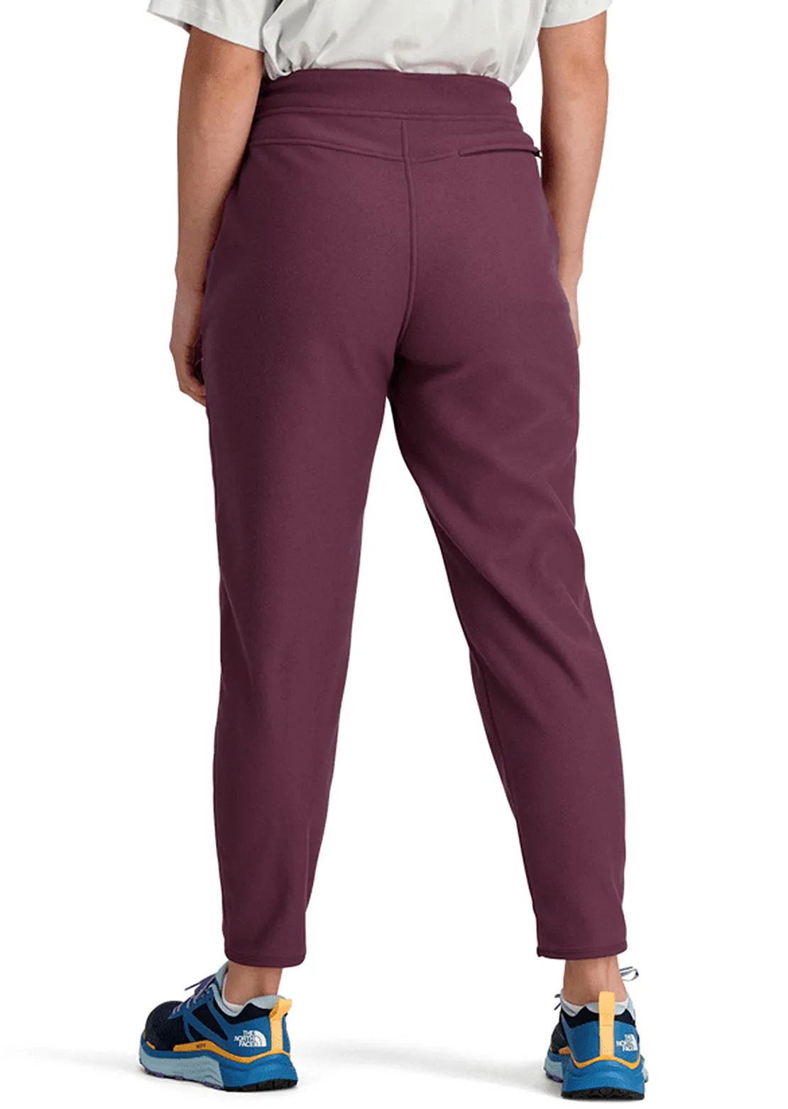 The North Face Women's Alpine Polartec 100 Regular Pants